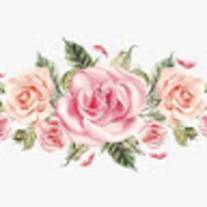 Meet your Posher, Paige